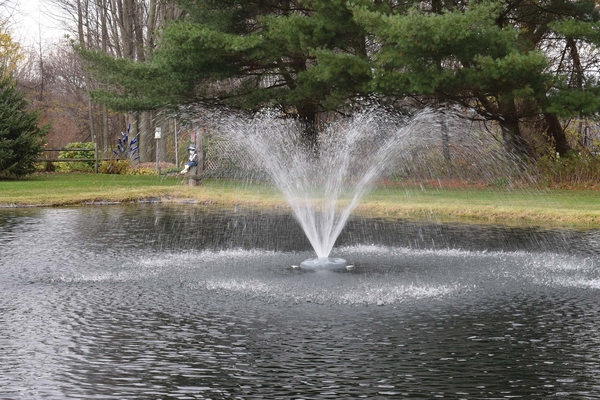 Aqua Fountains - 1/2 hp & 1 hp | Fountain Spray