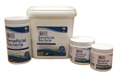 Beneficial Bacteria Concentrate- Dry | Iku Koi Kichi