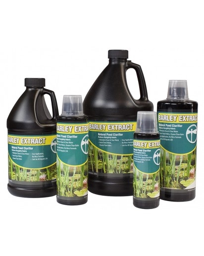 Barley Extract Liquid | Barley Straw