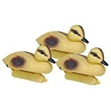 Yellow Duckling | Duck Decoy