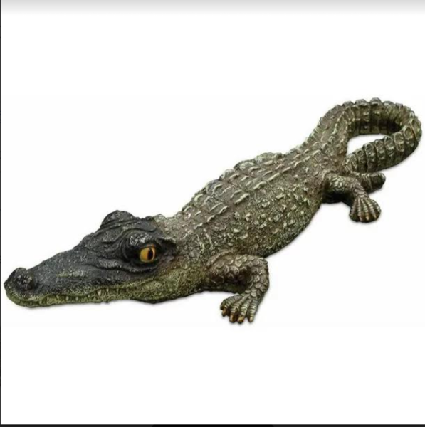 Floating Alligator | Gator Decoys