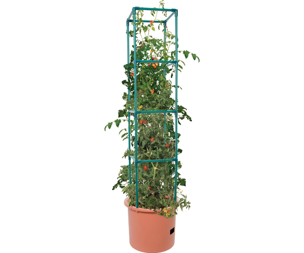 Heavy Duty Tomato Barrel w/Tower | ARCHIVE