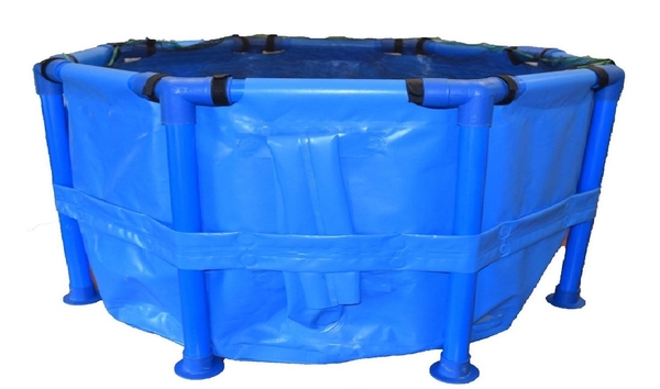 Koi Show Tank w/ Net Cover | Iku Koi Kichi