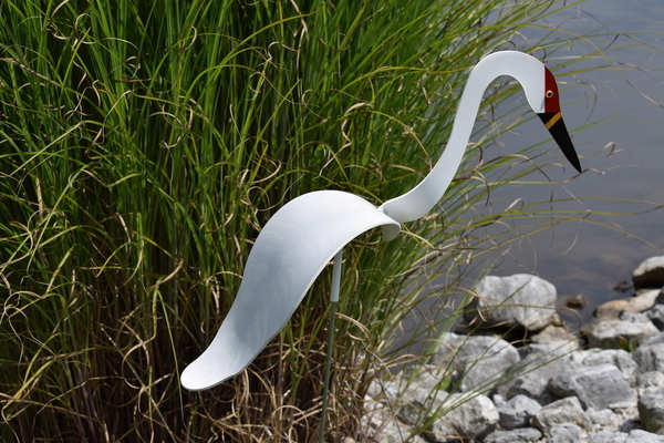 Dancing Birds - Cranes | Dancing Birds