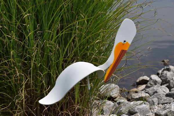 Dancing Birds - Pelicans | Dancing Birds