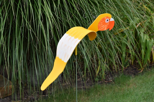 Dancing Birds - Parrots | Dancing Birds