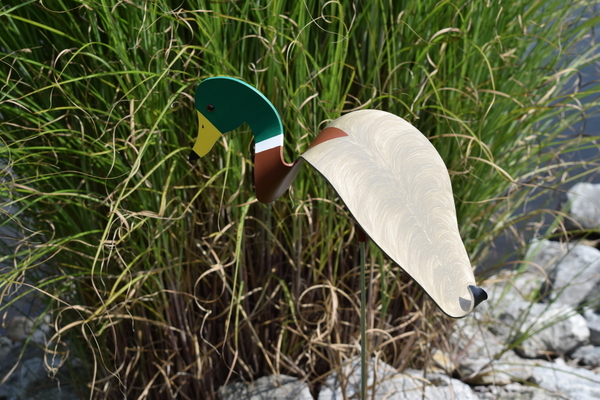Dancing Birds - Ducks, Loon | Dancing Birds