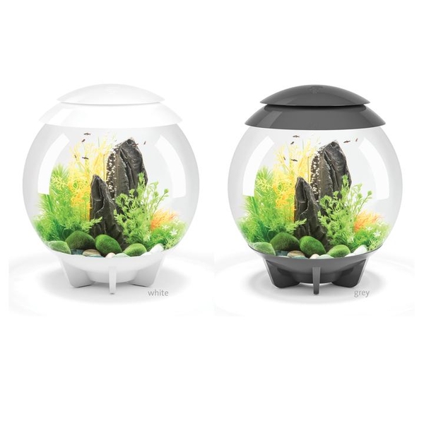 biOrb HALO Aquarium with Multi-Color Remote (MCR) | Aquarium Tanks