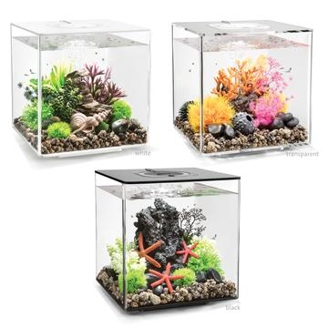 biOrb CUBE Aquarium with LED Lighting | Aquarium Tanks