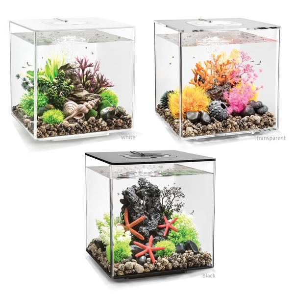 biOrb CUBE Aquarium with Multi-Color Remote (MCR) | Aquarium Tanks