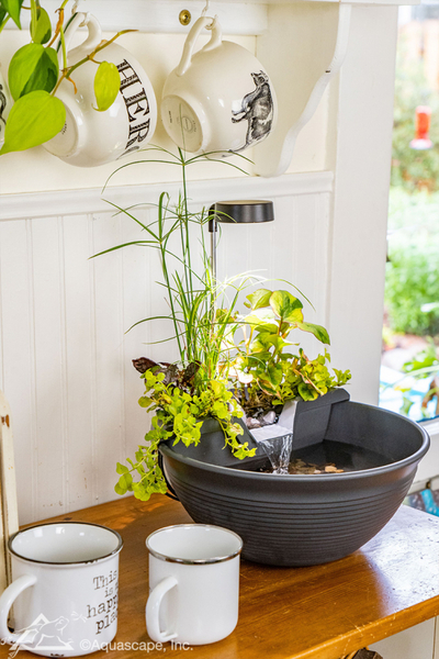 AquaGarden Tabletop Fountain Kit | Aquatic Patio Ponds