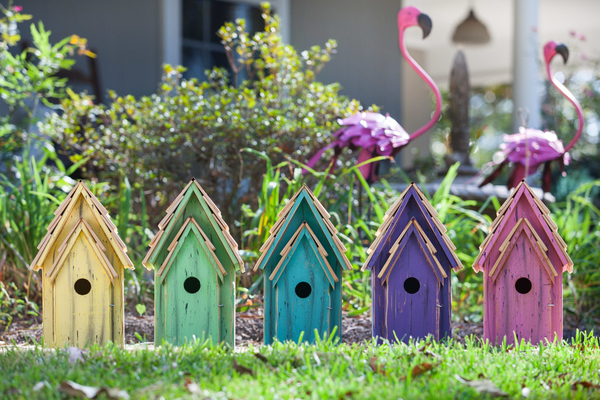 Bluebird Brights | Bird Houses
