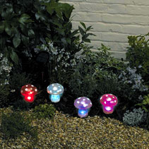 Pond Lighting | Solar LED Light Set