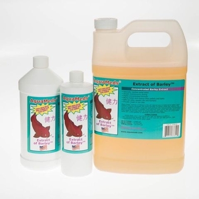 Extract of Barley | Barley Straw