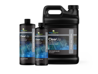 ClearUp | Bacteria/Enzymes