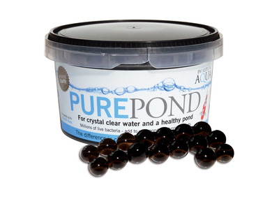 Pure Pond | Bacteria/Enzymes