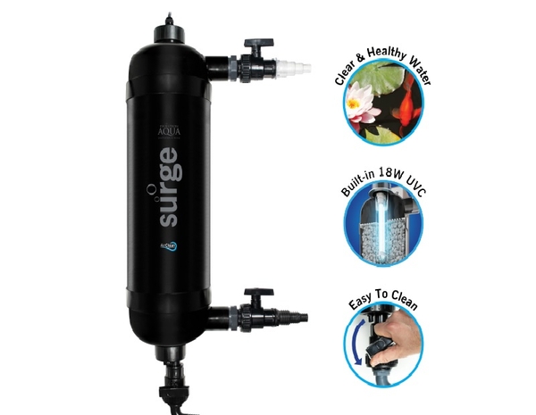 Surge Filter | Evolution Aqua