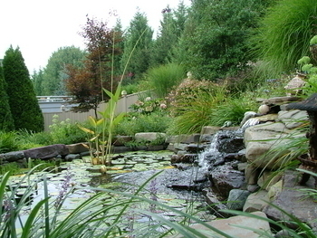 Image Graham's Pond 1