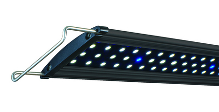 Ultra-Slim Blue/White LED Light by Lifegard Aquatics | ARCHIVE