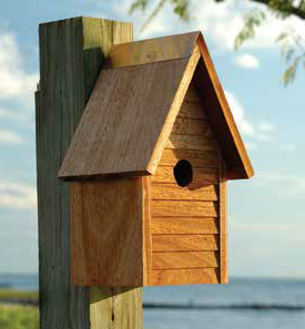 Starter Home Birdhouse by Heartwood | Bird Houses