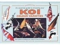 Image PondMaster An Essential Guide to Choosing Your Koi Colour Varieties