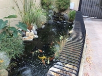 Image Charlie & Lori's new pond