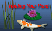 Image Heating Your Pond