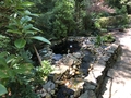 Image Lindass Koi Pond