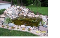 Image Larry's Pond 7