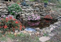 Image Johnny's Koi pond & waterfall