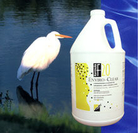 Image F-20 Enviro-Clear (1 Gal)Treats 100,000-325,000 Gal by Diversified Waterscapes