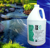 Image F-30 Algae Control (1 Gal treats 326,000 Gal) (DO NOT USE WITH FISH!) by DWI