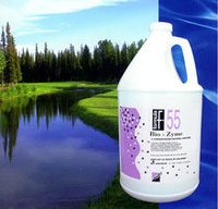 Image F-55 Bio-Zyme by Diversified Waterscapes (1 Gal treats 1,176,000 Gal)