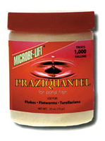 Image Praziquantel by Microbe-Lift