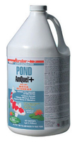 Image AmQuel Plus by Kordon - 1 Gallon