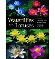 Image Waterlilies and Lotuses: Species, Cultivars, and New Hybrids by Perry D. Slocum