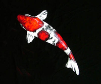 Image Mark MacKay Ceramic Koi