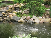 Image Aeration