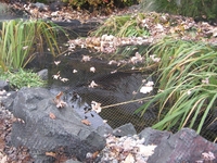 Image Pond Tents & Netting
