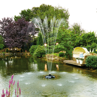 Image Fountains