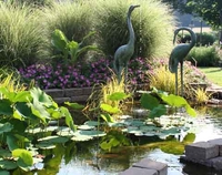 Image Pond Decor