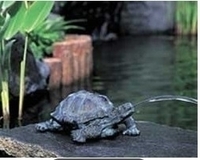 Image Turtle Spitter