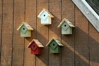 Image Summer Home Birdhouse by Heartwood