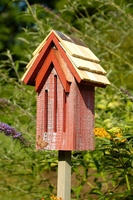 Image Mademoiselle Butterfly House