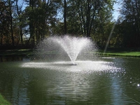 Image Nozzles for Easy Pro Floating Fountain Head