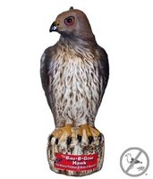 Image Bird-B-Gone Hawk
