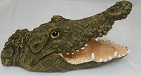 Image Open Mouth Floating  Alligator