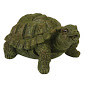 Image Turtle Spitter
