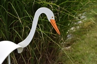 Image Dancing Birds - Egret