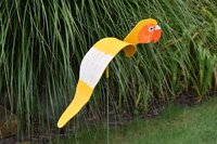 Image Dancing Birds - Parrots